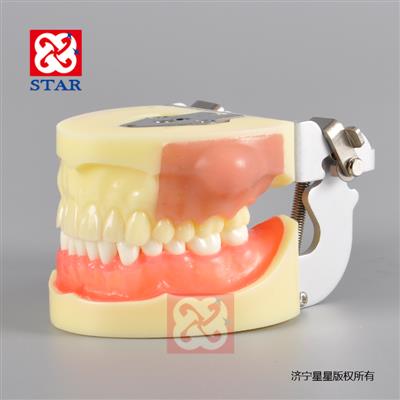 膿腫切開練習模型M4030
