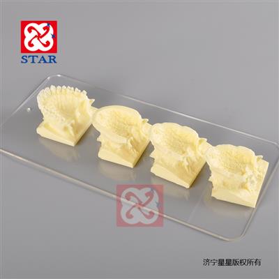 上頜骨發育模型M5002-U